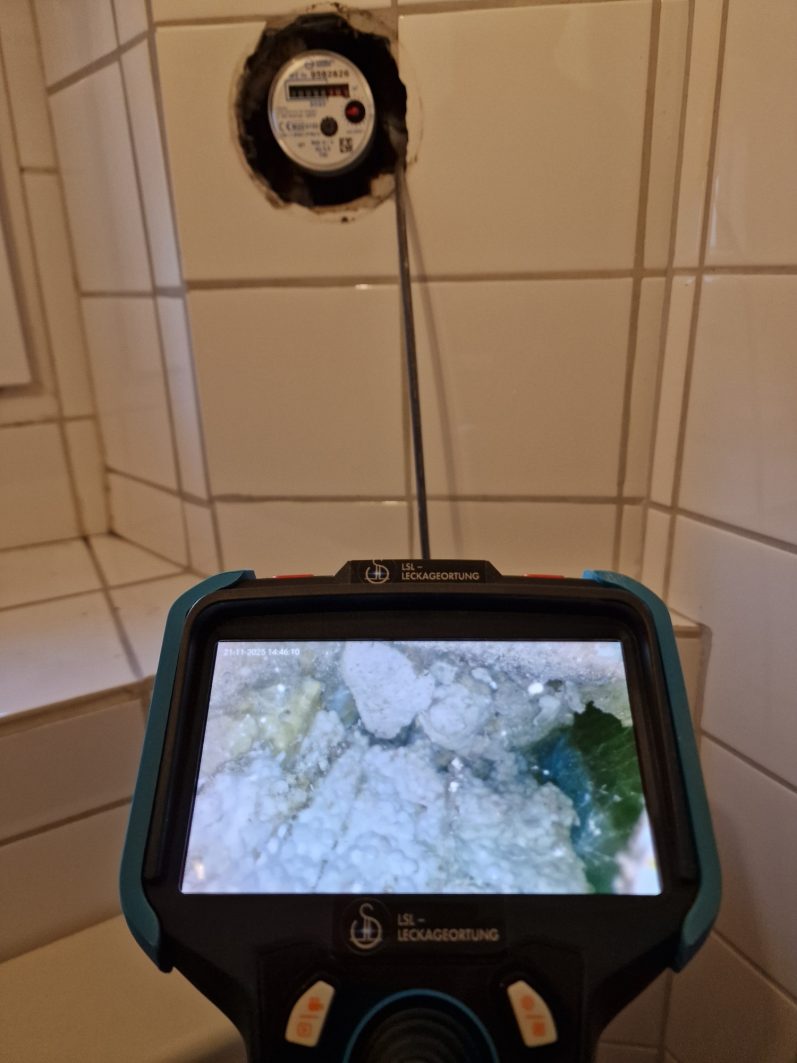 Endoskopische Untersuchung